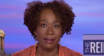 Joy Reid’s Views Of Public School Education Have Parents Outraged, Claims There Is Confederate Race Theory