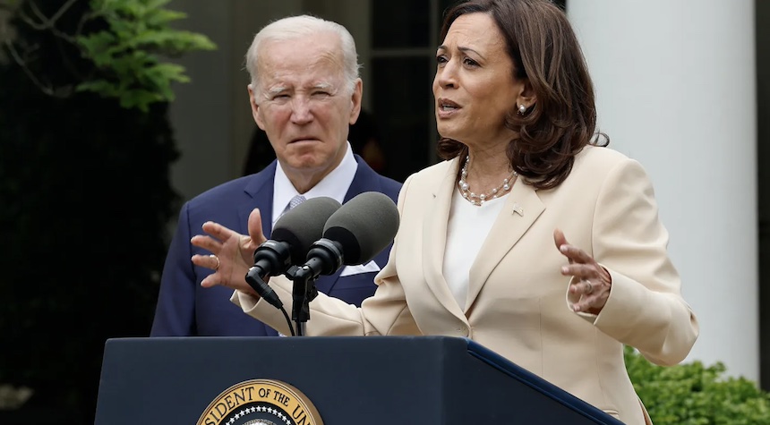 Harris' Uncertainty Over Race-Driven VP Nomination Raises Concerns ...