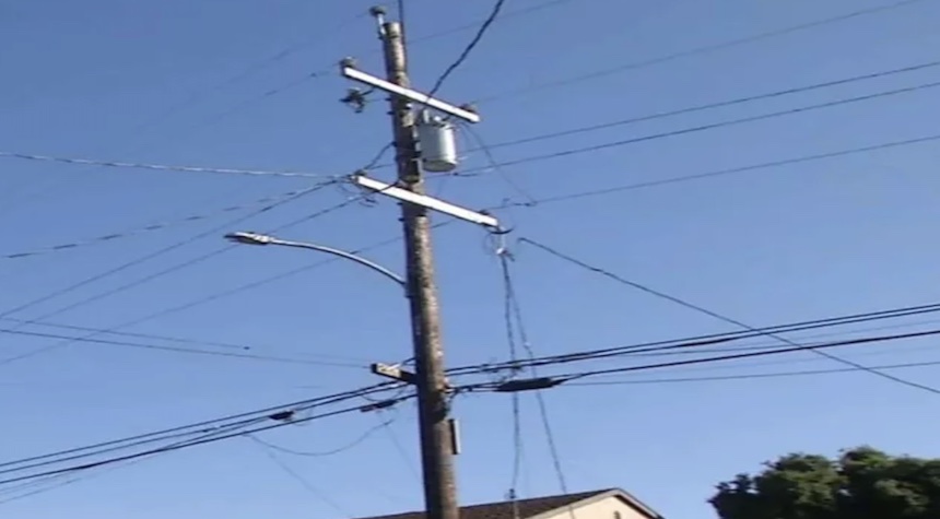 Why Are Birds Exploding in This California Town?