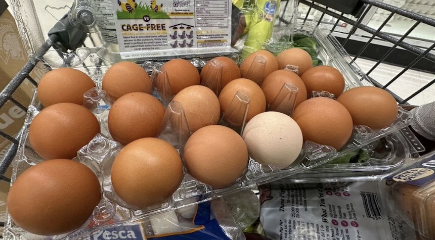 Egg Prices Fall Slightly, Offering Little Relief to Shoppers