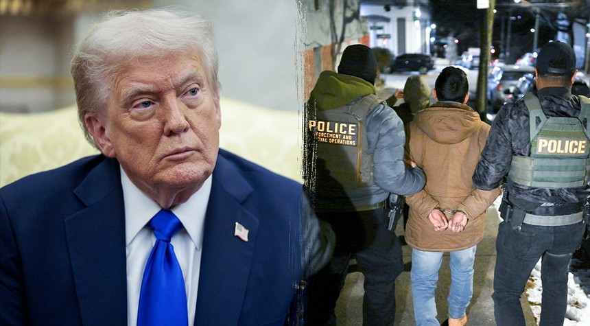 Trump Defends ICE Operations Against Critics, Says Liberal Judges Obstruct Enforcement