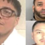 ICE Arrests Murderers and Gang Members While Americans Celebrated Christmas