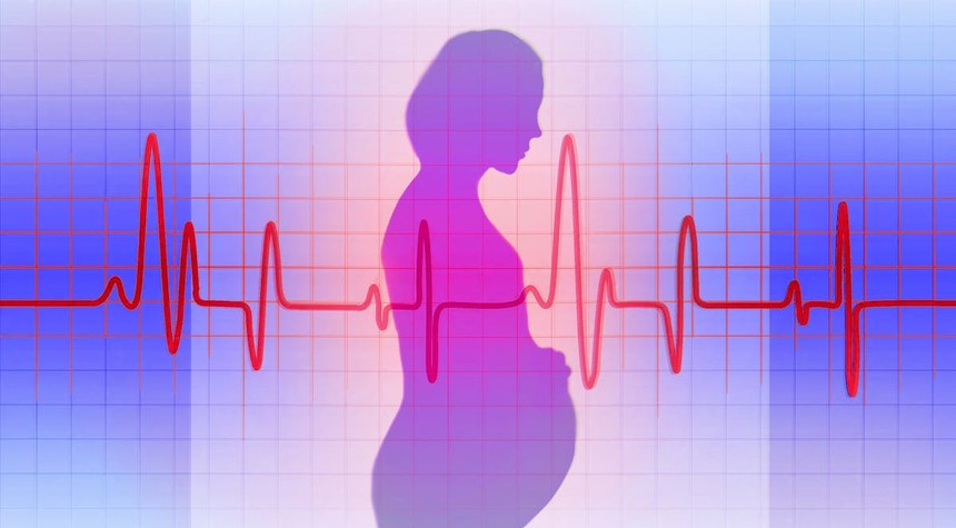 The Tennessee Bill That Proves Twitter Politics Makes Terrible Law