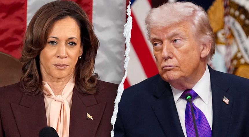 Harris Goes Full Godfather Impression at Sharpton Event and Gets Roasted for It