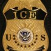 Minnesota Prosecutor Targets ICE Agent in Latest Attack on Immigration Law
