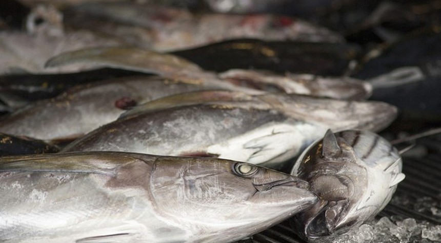 Trump Just Gave Fishermen What Biden Took Away