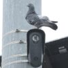 These AI Cameras Track Millions of Americans and Washington Is Starting to Push Back