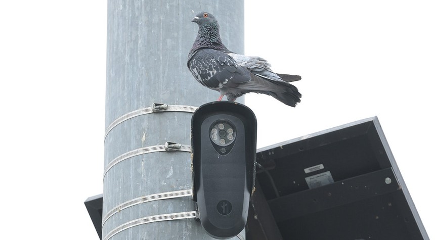 These AI Cameras Track Millions of Americans and Washington Is Starting to Push Back