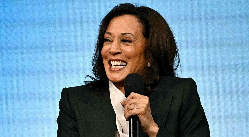 Democrats Ran a Billion Dollar Pyramid Scheme and Called It a Campaign