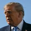 Trump's Million Dollar Voter Fraud Bounty Is Either Brilliant or Absurd