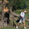 A Federal Judge Just Caught the Trump Administration Playing Games With 430 Trees